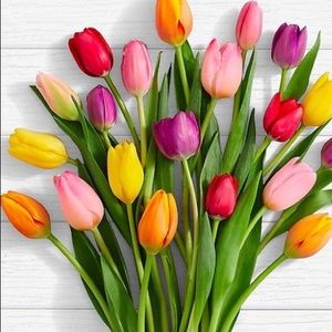 Meet your Posher, Stella